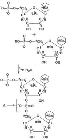 Question diagram
