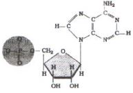Question diagram