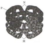 Question diagram
