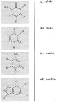 Question diagram
