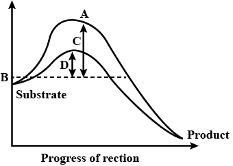 Question diagram