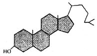 Question diagram