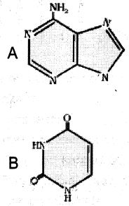 Question diagram