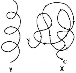 Question diagram