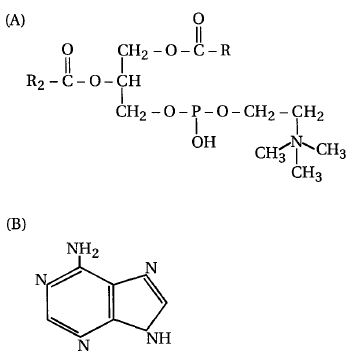 Question diagram