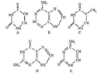 Question diagram