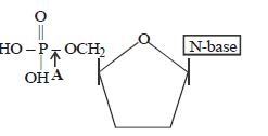 Question diagram