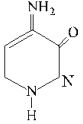 Option B