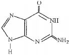 Option C