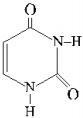 Option C