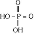 Option C