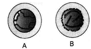 Question diagram