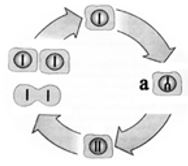 Question diagram
