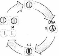 Question diagram