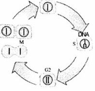 Question diagram