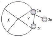 Question diagram