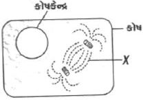 Question diagram