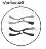 Question diagram