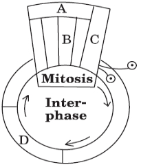 Question diagram
