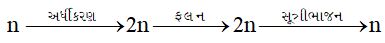 Option B