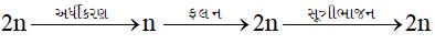 Option C