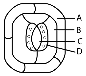 Question diagram