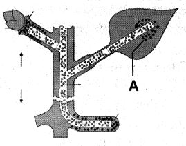 Question diagram