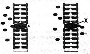 Question diagram
