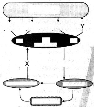 Question diagram