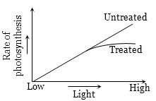 Question diagram
