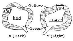 Question diagram