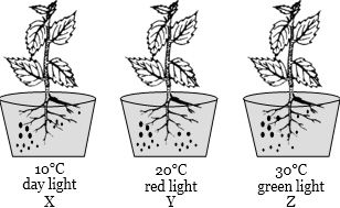 Question diagram