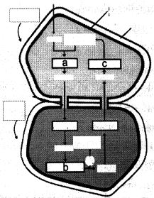 Question diagram