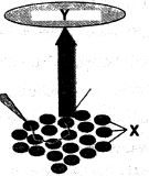 Question diagram