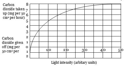 Question diagram