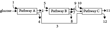 Question diagram