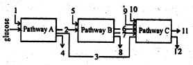 Question diagram