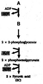 Question diagram