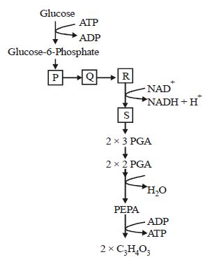 Question diagram