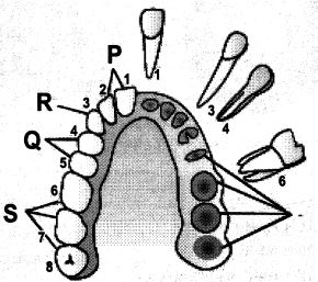 Question diagram