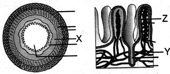 Question diagram