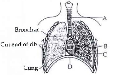 Question diagram