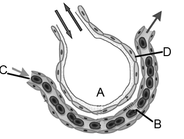 Question diagram