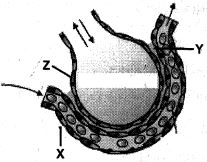 Question diagram