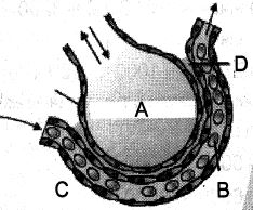 Question diagram