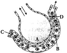 Question diagram