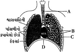Question diagram