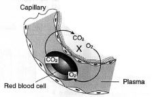 Question diagram