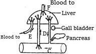 Question diagram