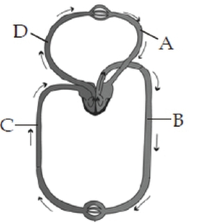 Question diagram